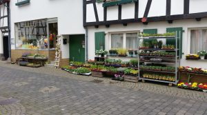 Foto vom Blumenhaus Schopp